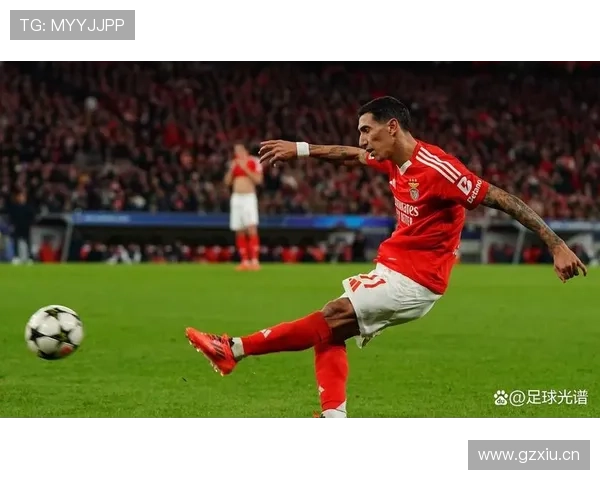 迪马利亚加盟本菲卡完成欧洲成名阶段解析 迪马利亚加盟本菲卡完成欧洲成名阶段解析